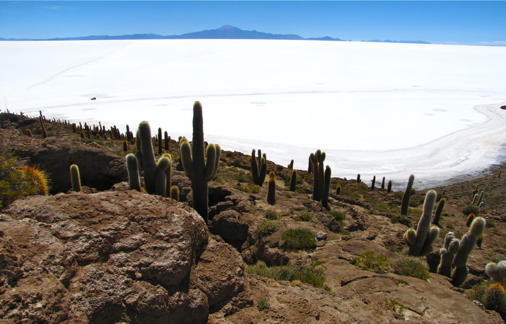 Kaktusinsel Inka Wasi mit dem Vulkan Tunupa im Hintergrund