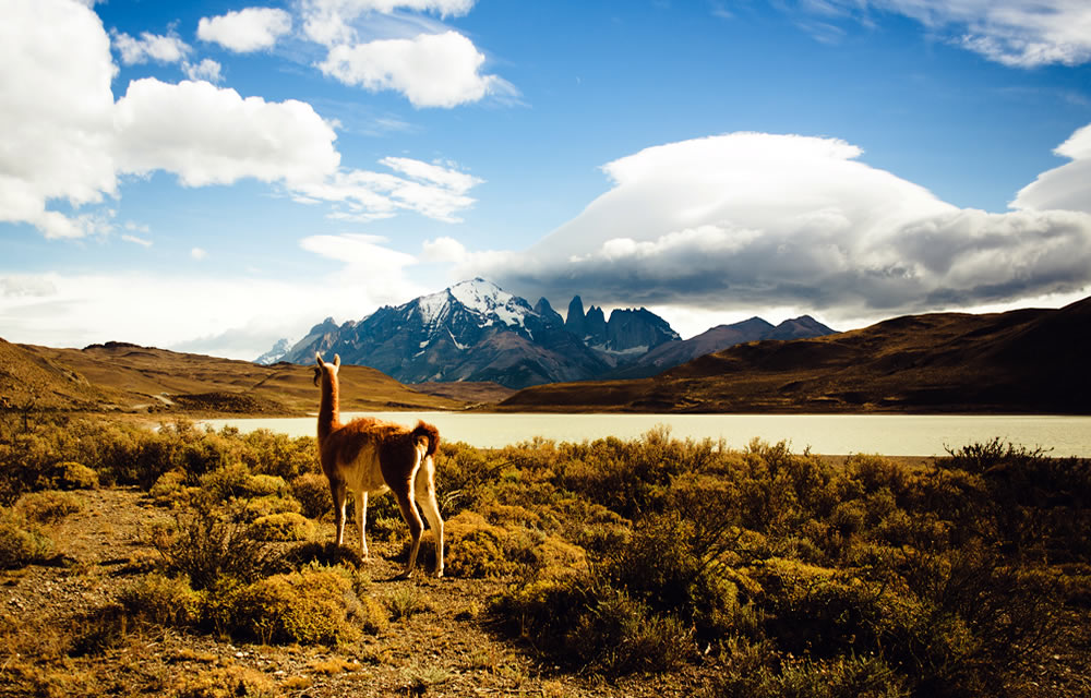 Im NP Torres del Paine