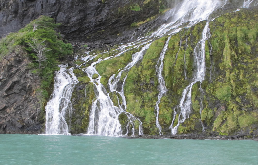 Im NP Torres del Paine