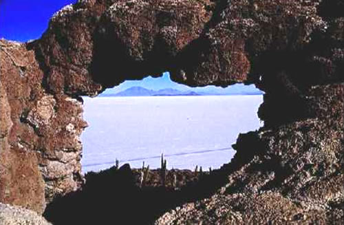 Kaktusinsel Inka Wasi - Salar de Uyuni in Bolivien