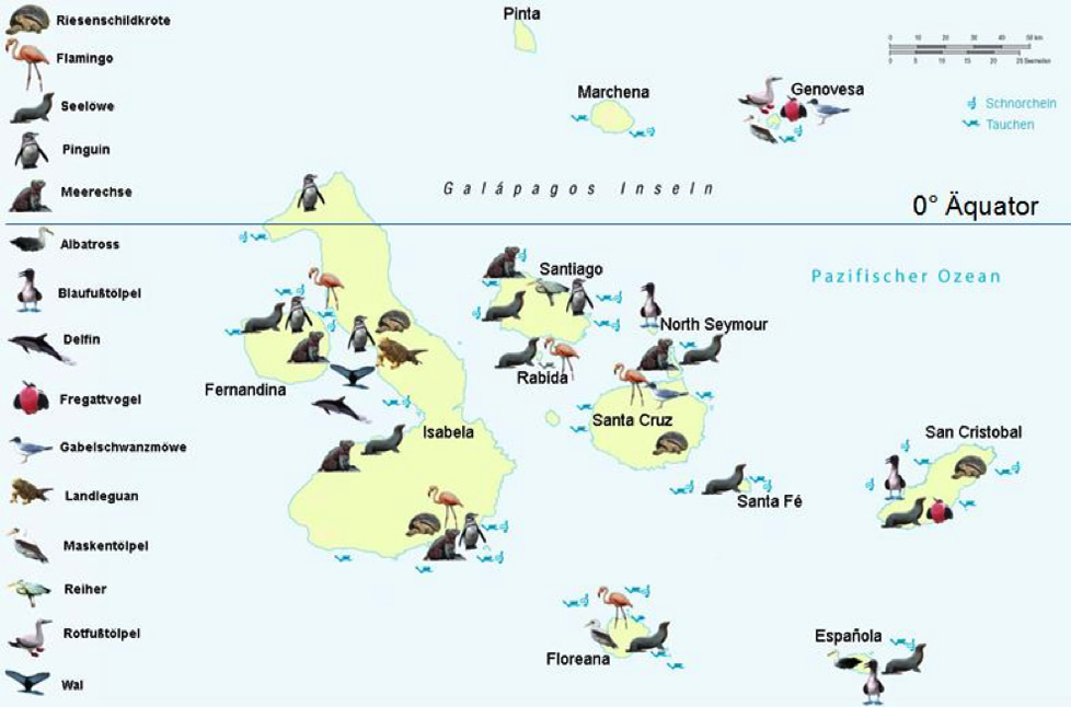 Beste Reisezeit Galapagos - Tierwelt