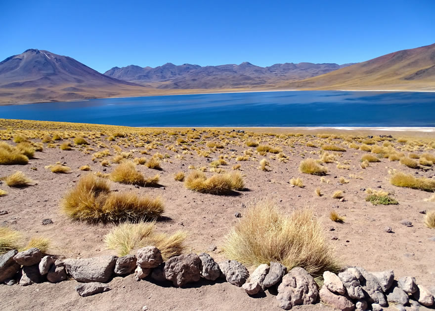 Lagunen Atacama Miscanti Miniques