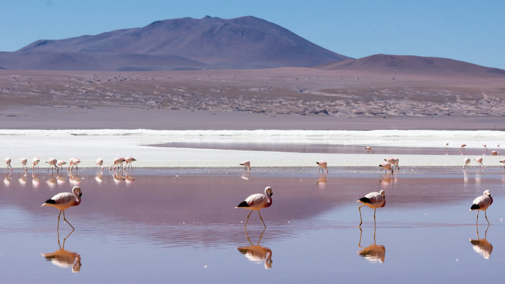 Bolivien Reisen Landschaften