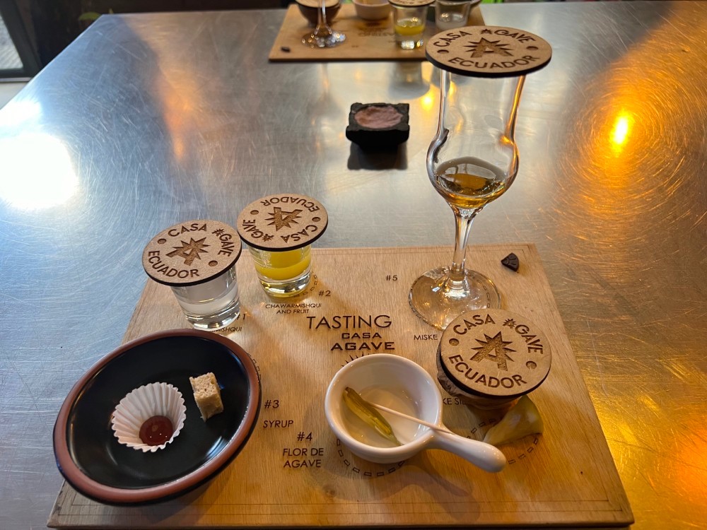 Casa Agave Verkostung