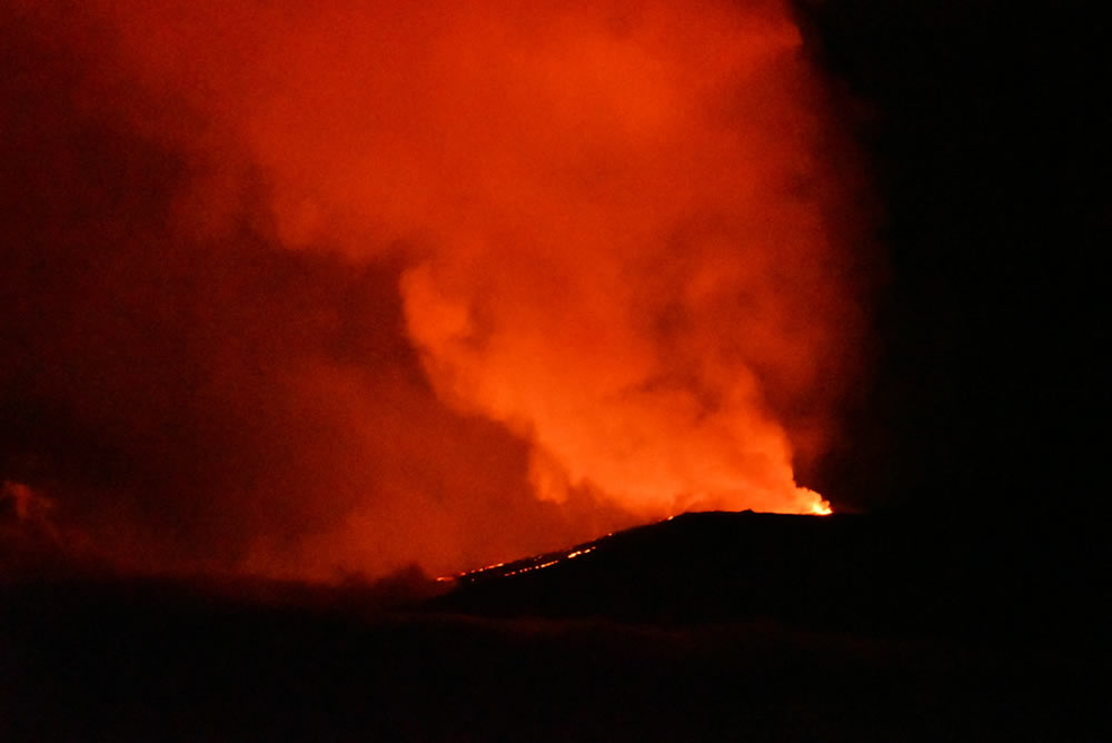 Galapagos Reise auf dem Katamaran Cormorant - 