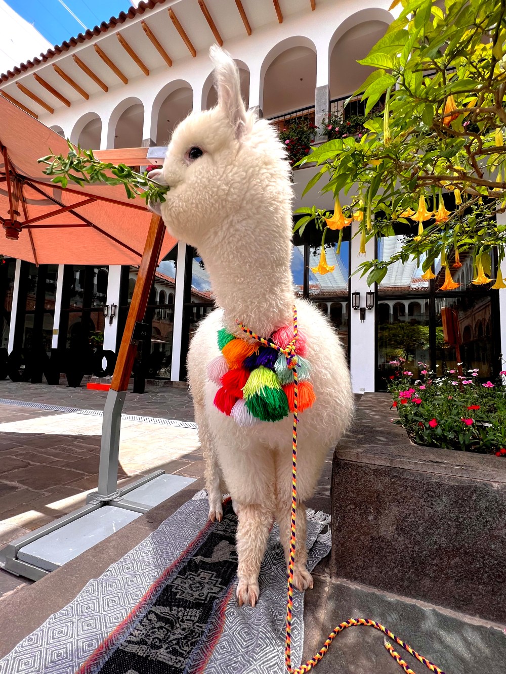 Marriott Hotel El Convento Cusco