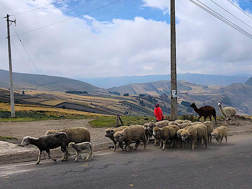 Ecuador Rundreise nach Corona: Quilotoa