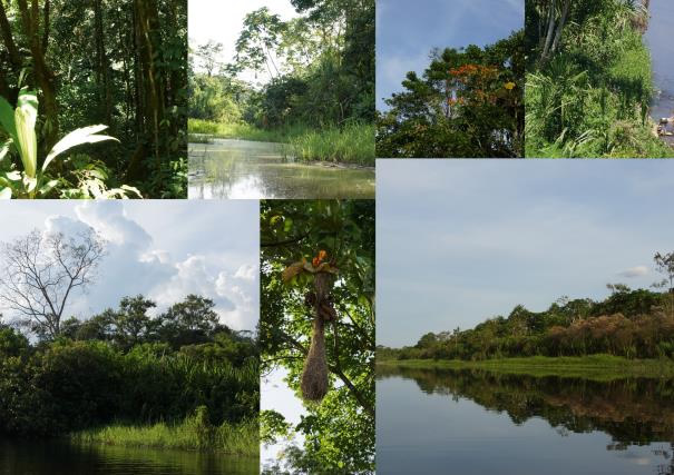 Feedback Familienreise durch Ecuador und Galapagos