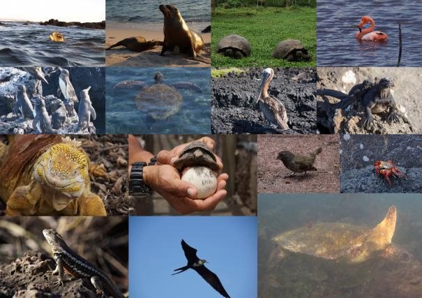 Feedback Familienreise durch Ecuador und Galapagos