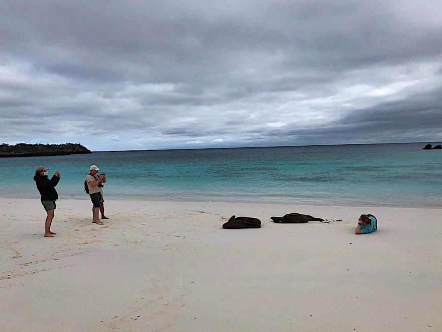 Galapagos Kreuzfahrt nach Corona - Strand der Insel Española