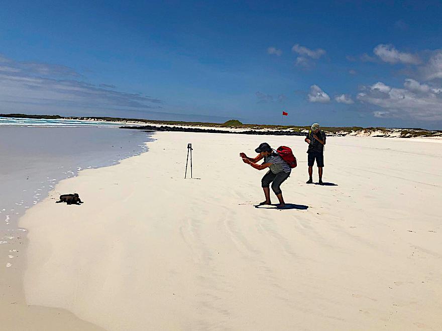 Galapagos Reisen nach Corona - Weisser Sandstrand bei Tortugabay