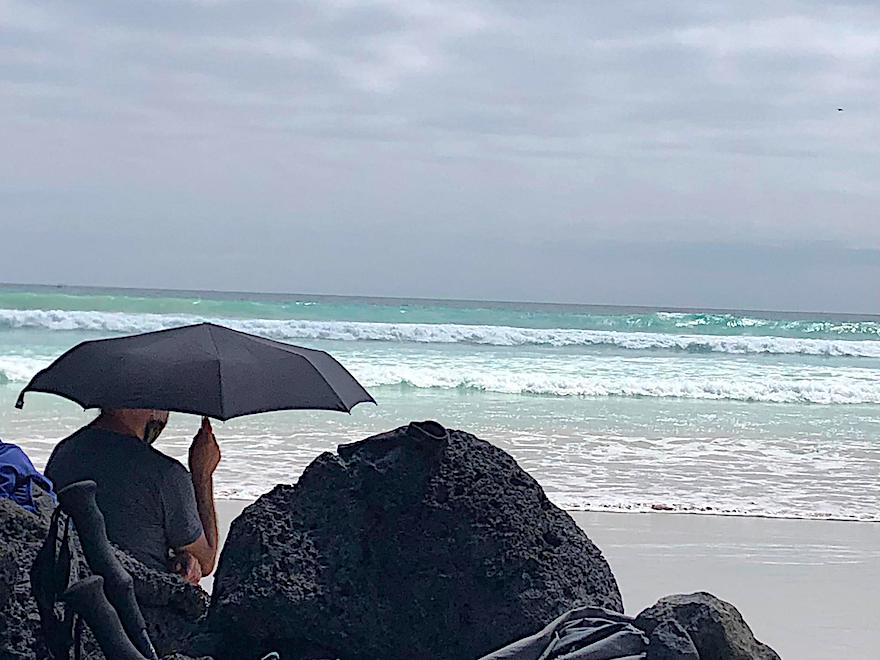 Galapagos Reisen nach Corona - Strandleben am Tortugabay