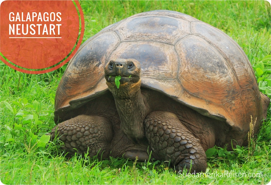 Neustart Galapagos-Reisen nach Corona.