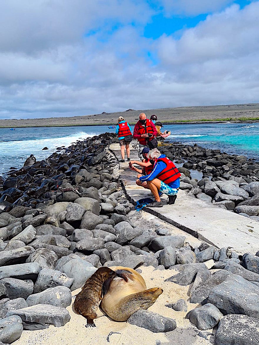 Galapagos Kreuzfahrt während Corona - Fiebermessen