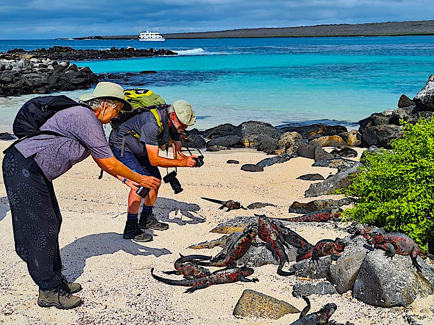 Galapagos Kreuzfahrt während Corona - Fiebermessen