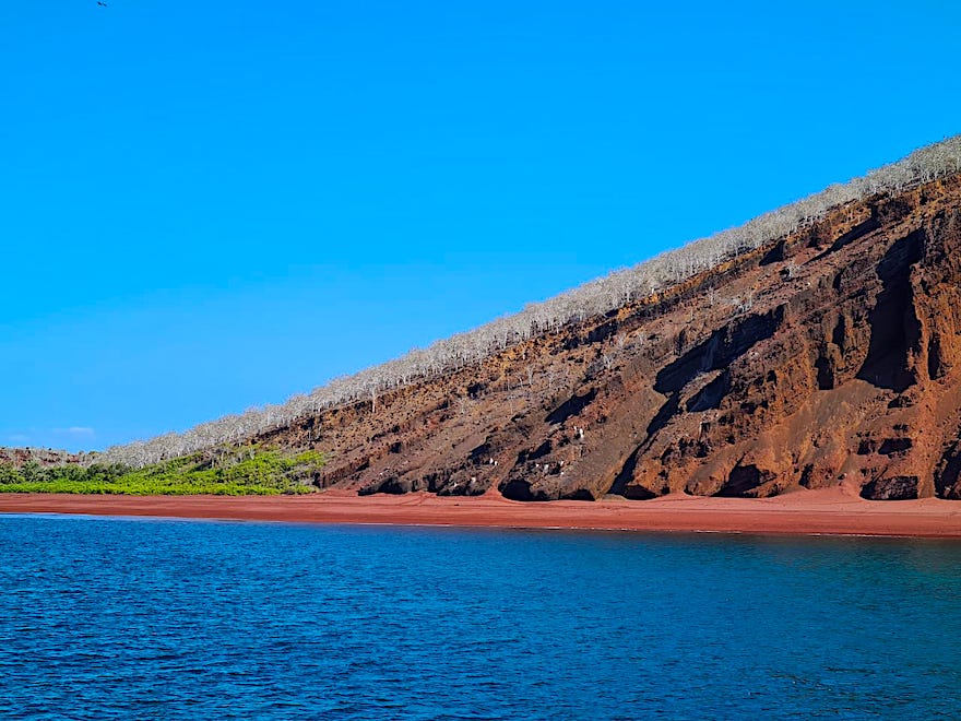 Galapagos Kreuzfahrt während Corona - Fiebermessen