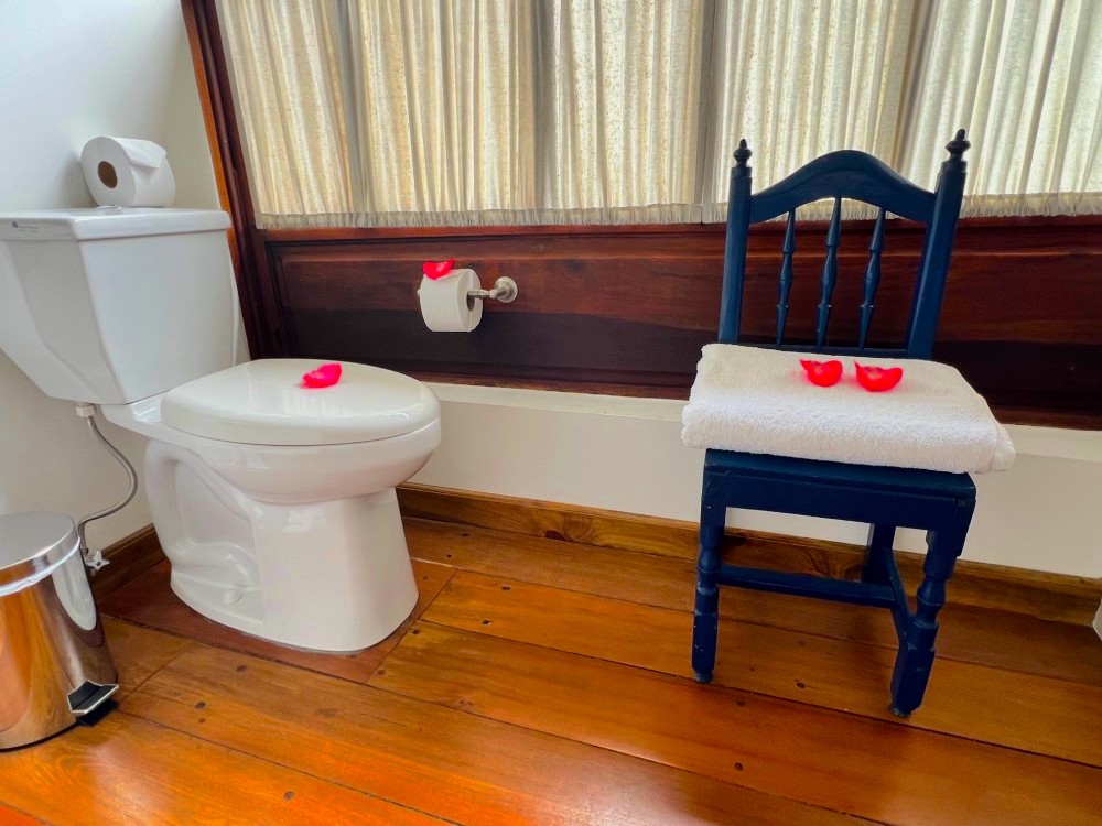 Bad/WC mit Rosenblätter