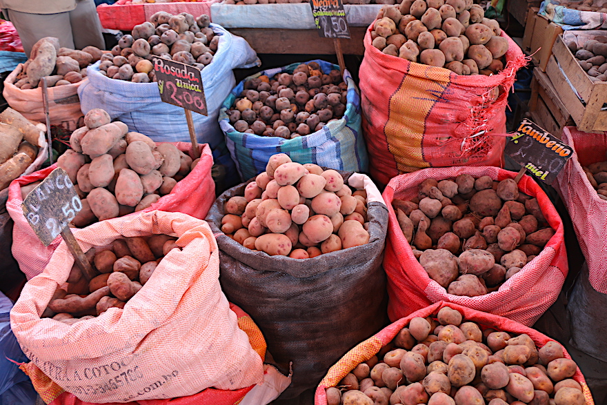 Kartoffeln in Peru - Beste Reisezeit