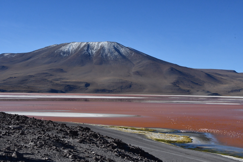Laguna Colorada