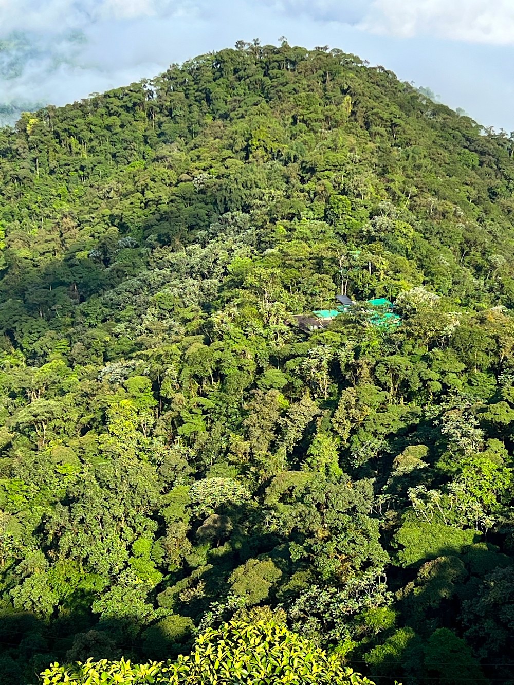 Blick auf die Mashpi Lodge