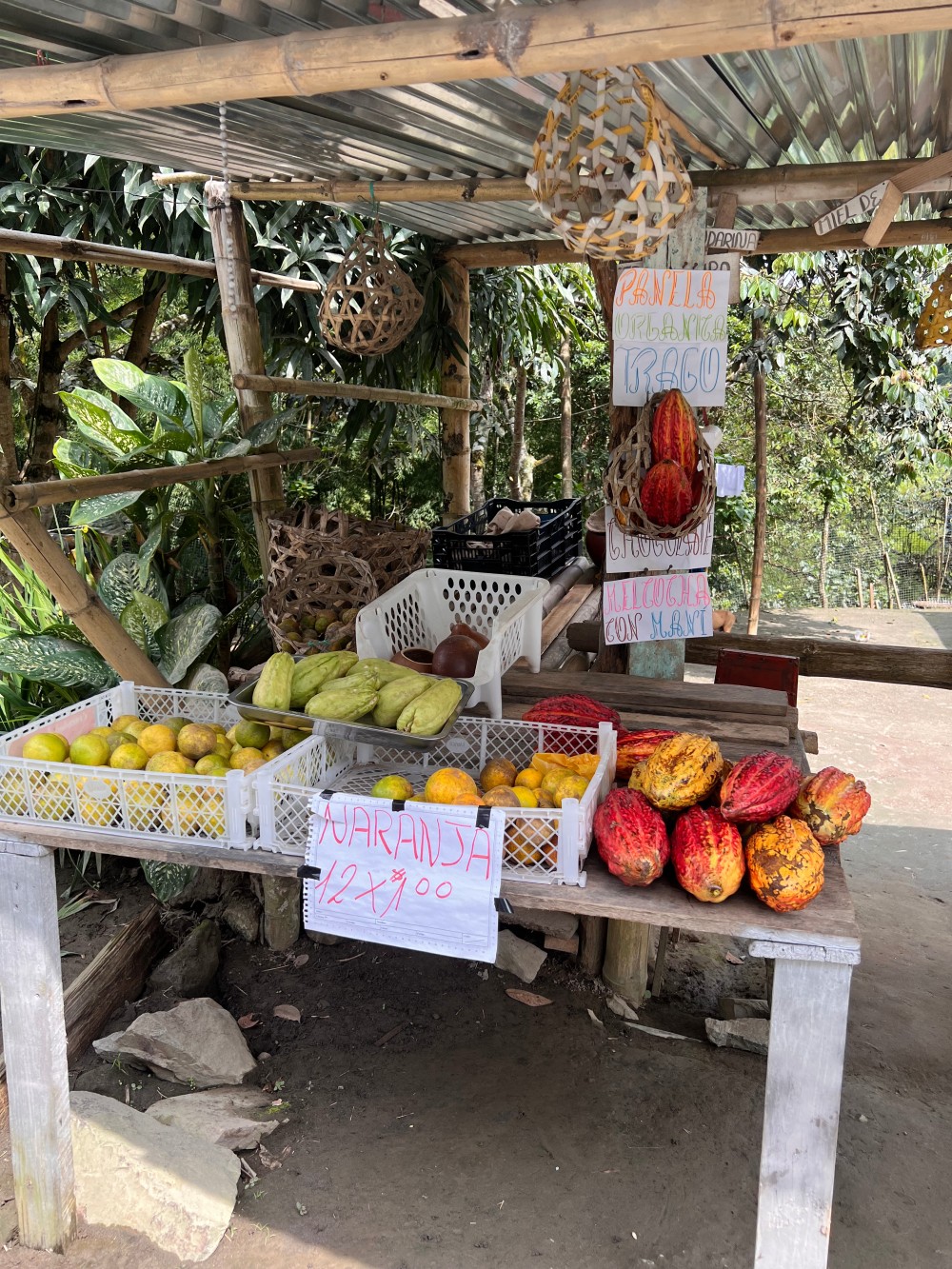 Unterwegs zur Mashpi Lodge in Ecuador