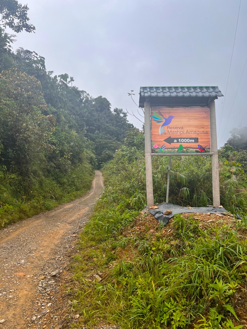 Unterwegs zur Mashpi Lodge in Ecuador