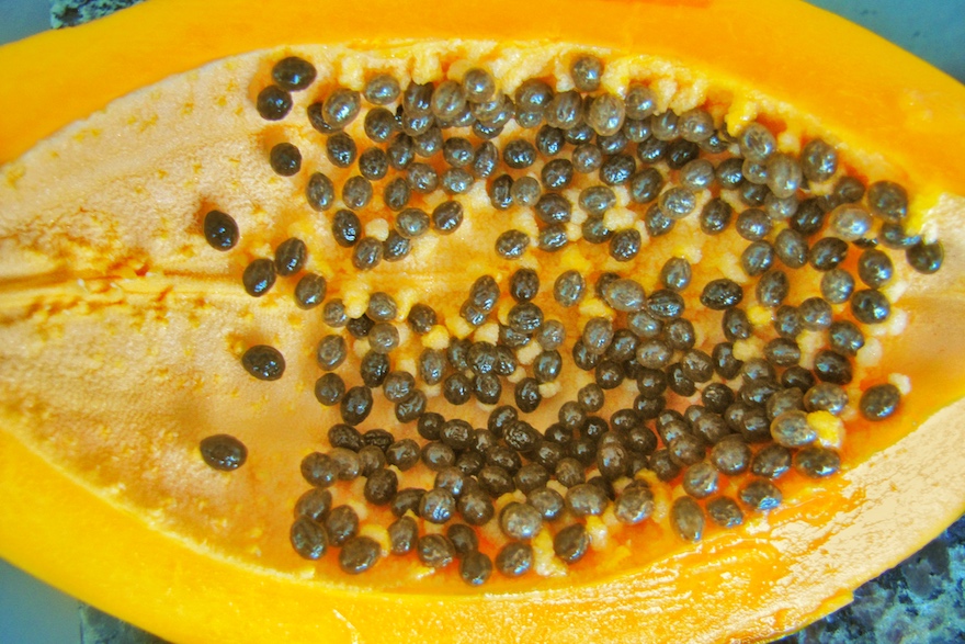 Papaya - Typische Früchte aus Peru