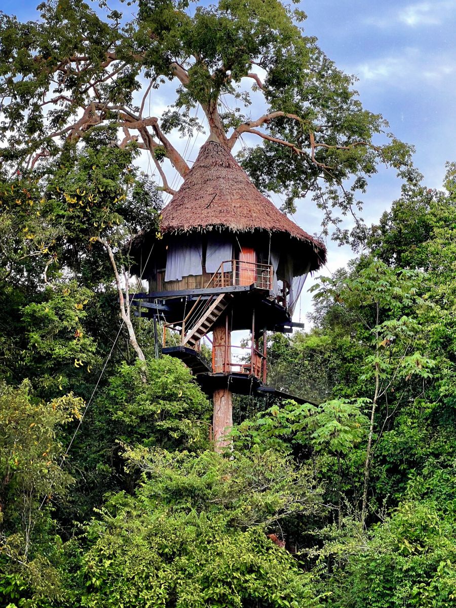 Beste Reisezeit für den Amazonas in Peru - Baumhauslodge