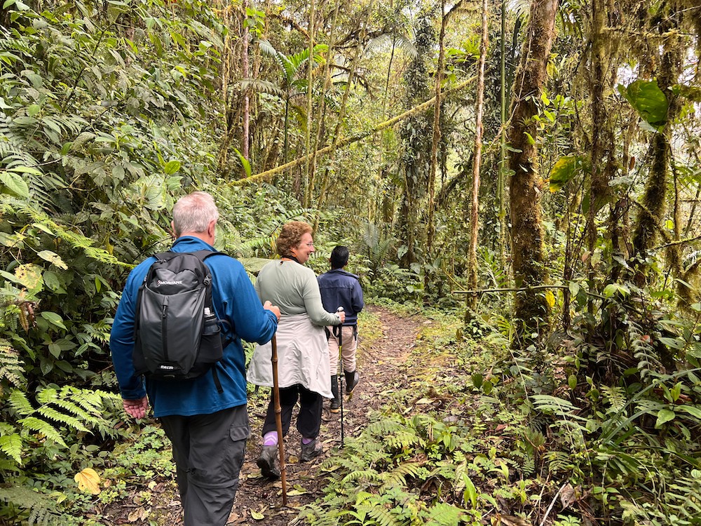 Wanderungen Bellavista