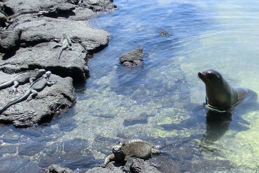 Galapagos Ecuador Reisen