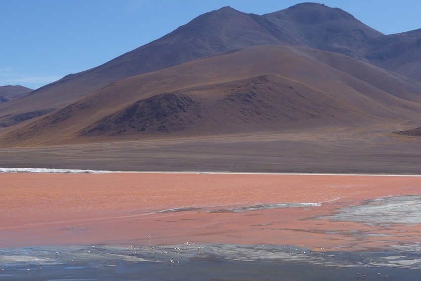 Laguna Colorada Bolivien