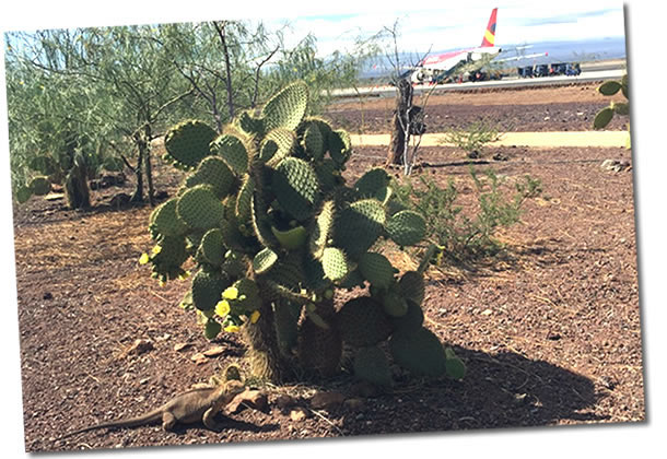 Südamerika Reisen buchen - Ecuador Galapagos Peru Bolivien