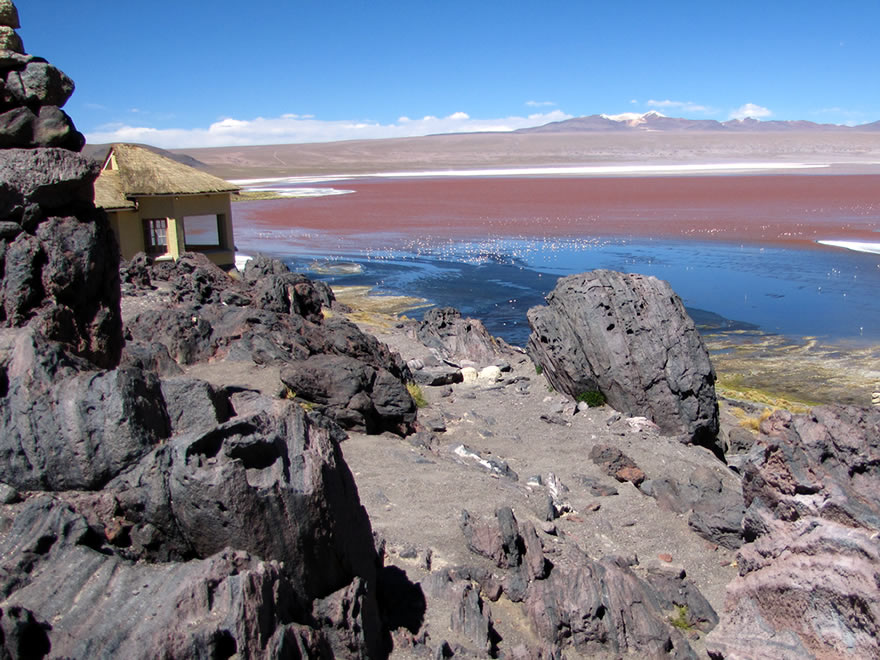 Beste Reisezeit Bolivien - Laguna Colorada
