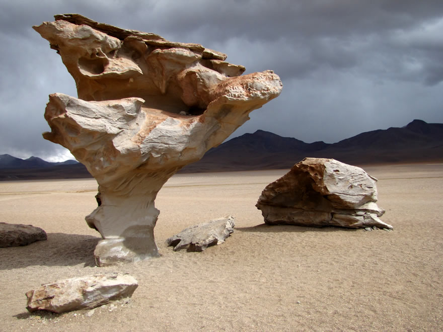 Beste Reisezeit Bolivien - Steinbaum - Arbol de piedra