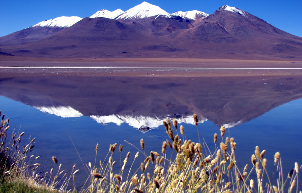 An der Laguna Cañapa in Bolivien