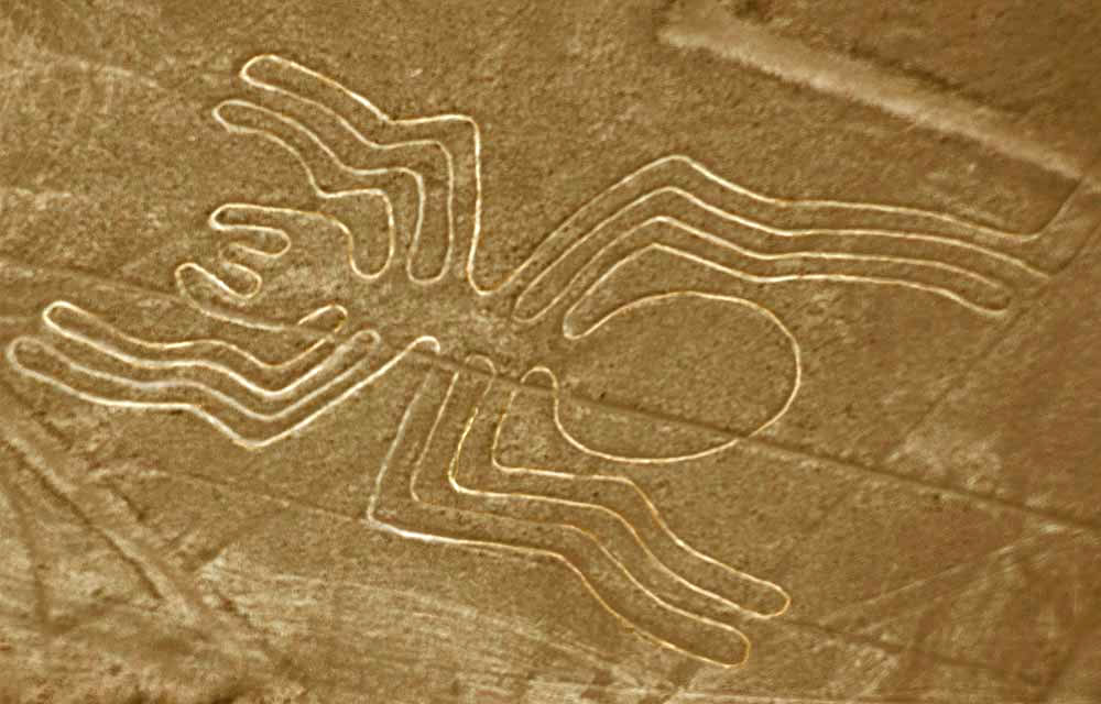 Scharbild der Nazcalinien