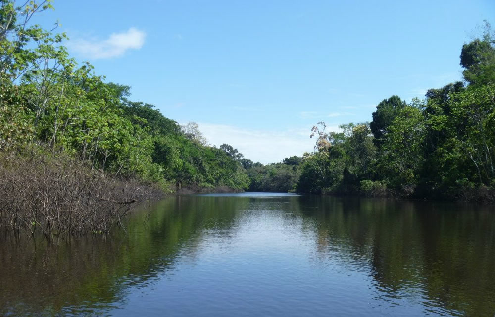 Schwarzwasserfluss Yanayacu